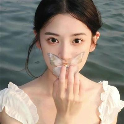 爱出猫